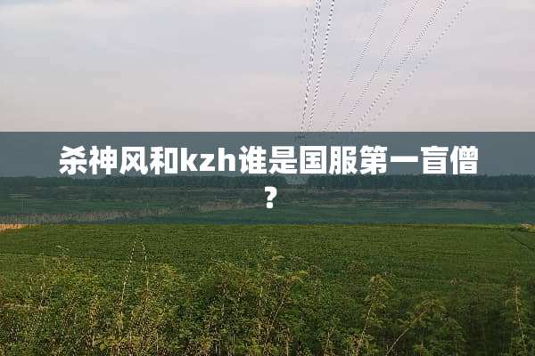 杀神风和kzh谁是国服第一盲僧？