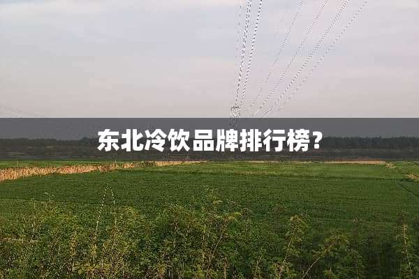 东北冷饮品牌排行榜？