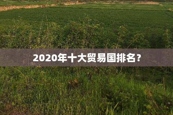 2020年十大贸易国排名？