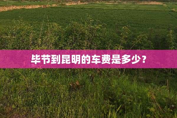 毕节到昆明的车费是多少？