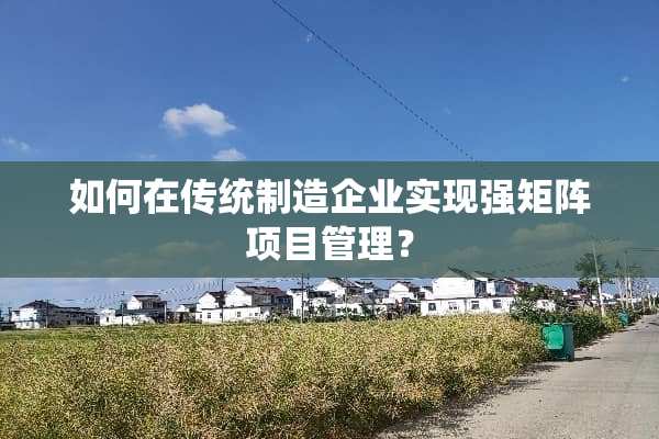 如何在传统制造企业实现强矩阵项目管理？
