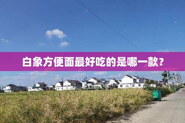 白象方便面最好吃的是哪一款？