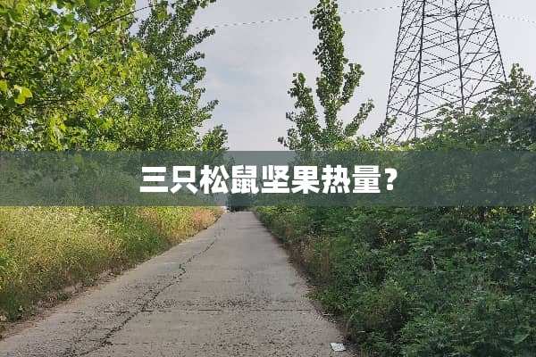 三只松鼠坚果热量？