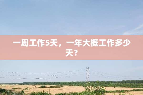 一周工作5天，一年大概工作多少天？