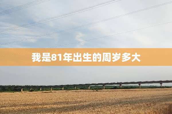 我是81年出生的周岁多大