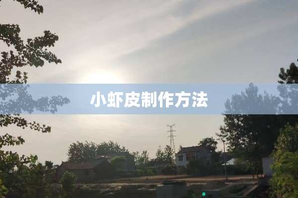 小虾皮制作方法