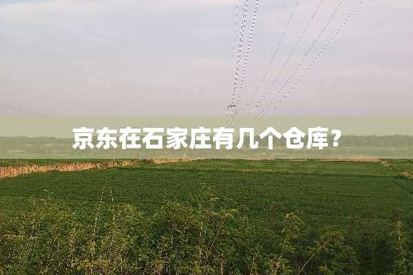 京东在石家庄有几个仓库？