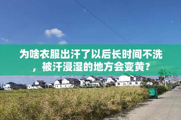 为啥衣服出汗了以后长时间不洗，被汗浸湿的地方会变黄？