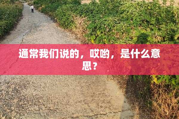 通常我们说的，哎哟，是什么意思？