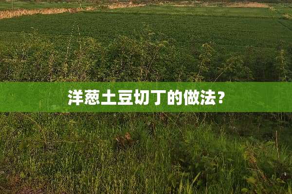 洋葱土豆切丁的做法？