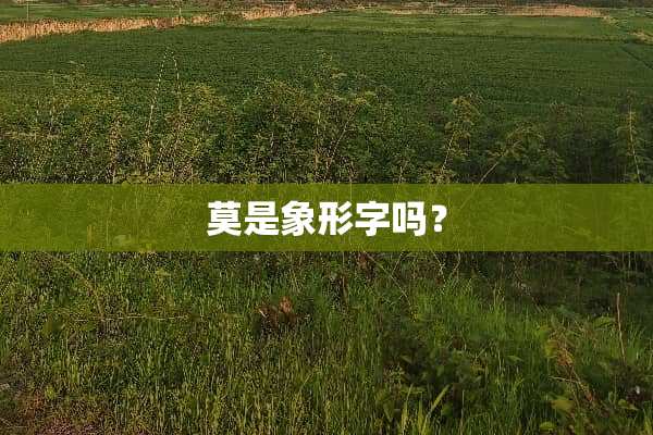 莫是象形字吗？