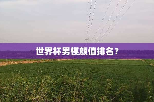 世界杯男模颜值排名？