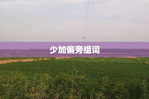 少加偏旁组词