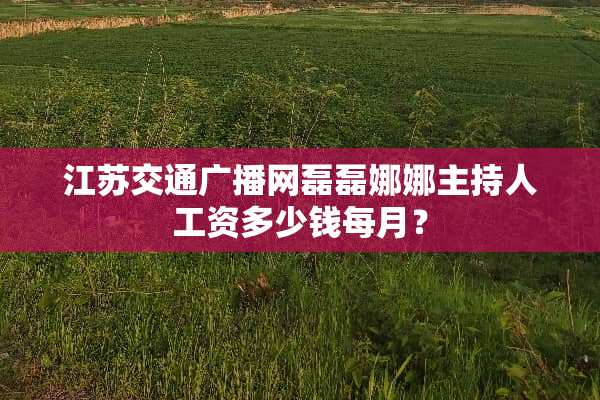 江苏交通广播网磊磊娜娜主持人工资多少钱每月？