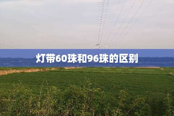 灯带60珠和96珠的区别