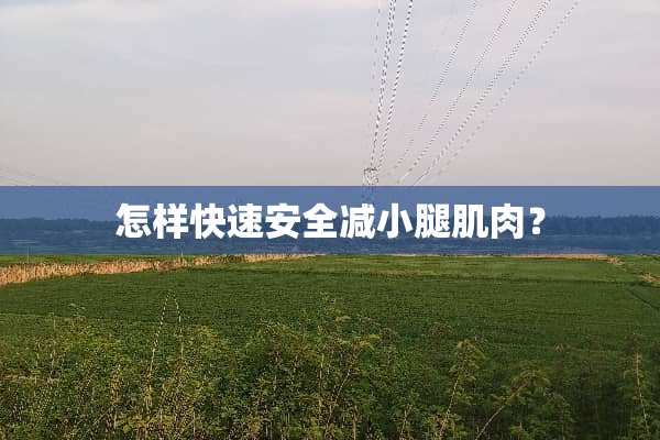 怎样快速安全减小腿肌肉？