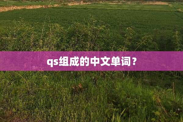 qs组成的中文单词？