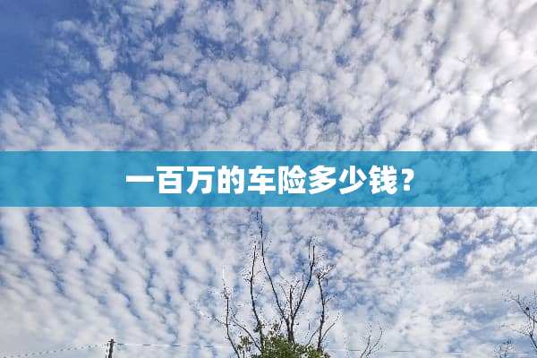 一百万的车险多少钱？