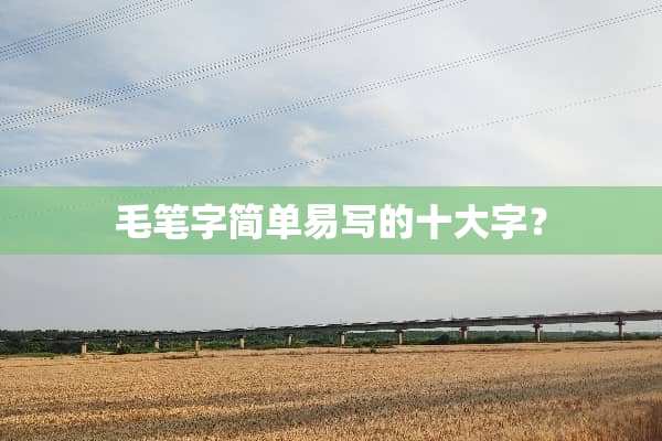 毛笔字简单易写的十大字？