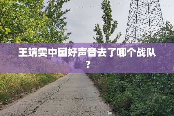 王靖雯中国好声音去了哪个战队？