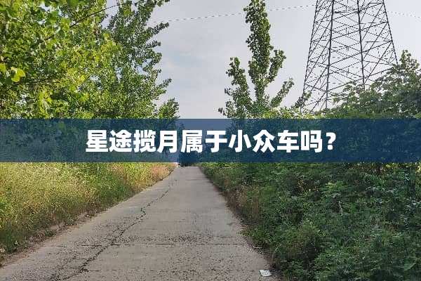 星途揽月属于小众车吗？
