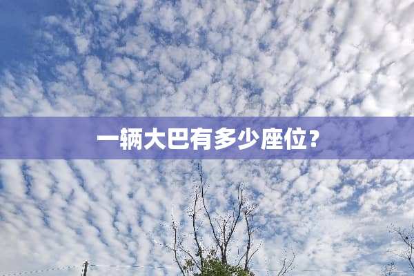一辆大巴有多少座位？