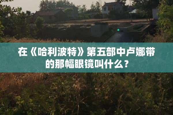 在《哈利波特》第五部中卢娜带的那幅眼镜叫什么？
