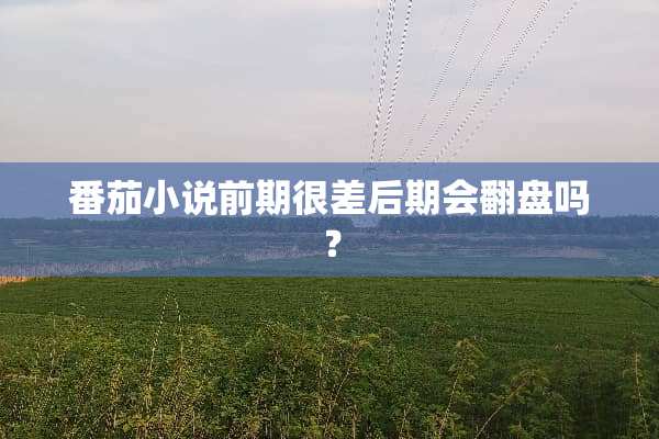 番茄小说前期很差后期会翻盘吗？