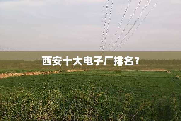西安十大电子厂排名？