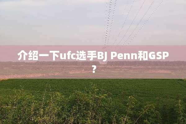 介绍一下ufc选手BJ Penn和GSP？