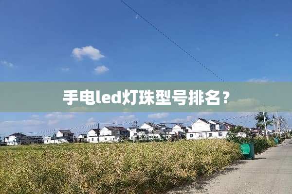 手电led灯珠型号排名？