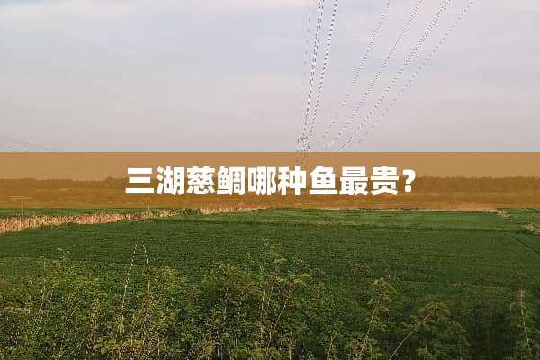 三湖慈鲷哪种鱼最贵？