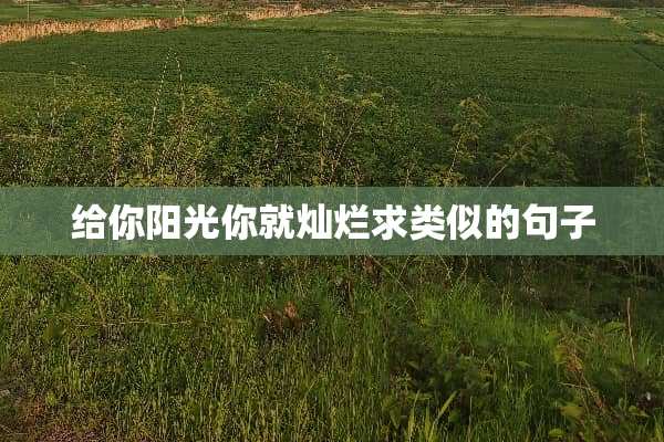 给你阳光你就灿烂求类似的句子