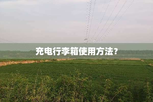 充电行李箱使用方法？