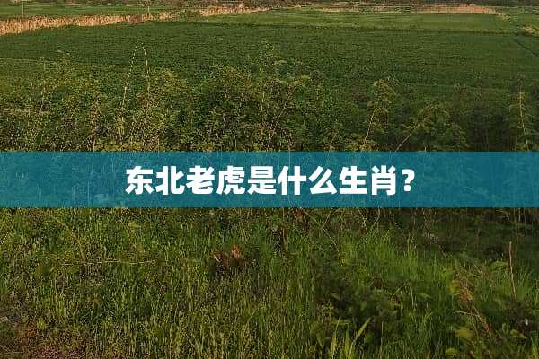 东北老虎是什么生肖？