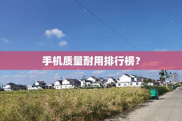 手机质量耐用排行榜？