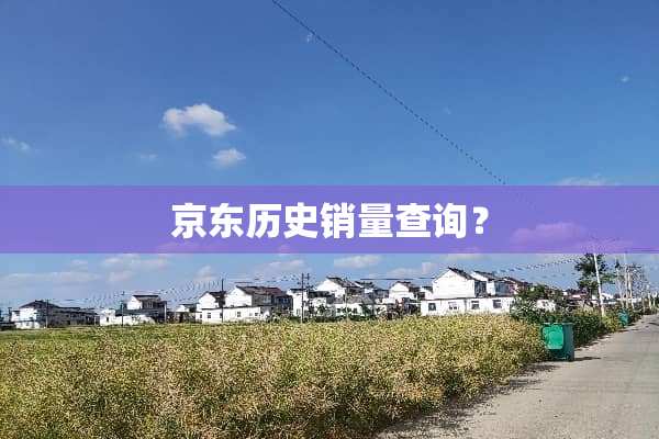 京东历史销量查询？