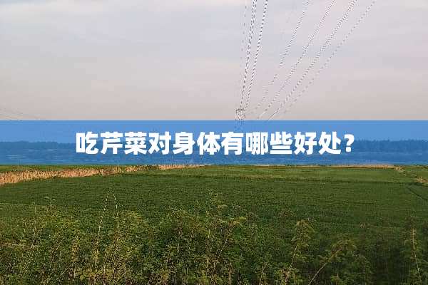 吃芹菜对身体有哪些好处？