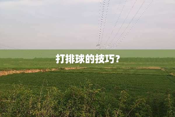 打排球的技巧？