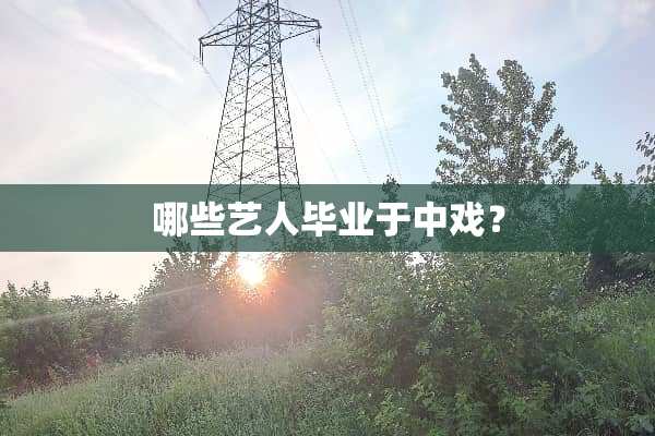 哪些艺人毕业于中戏？