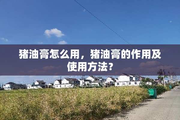猪油膏怎么用，猪油膏的作用及使用方法？