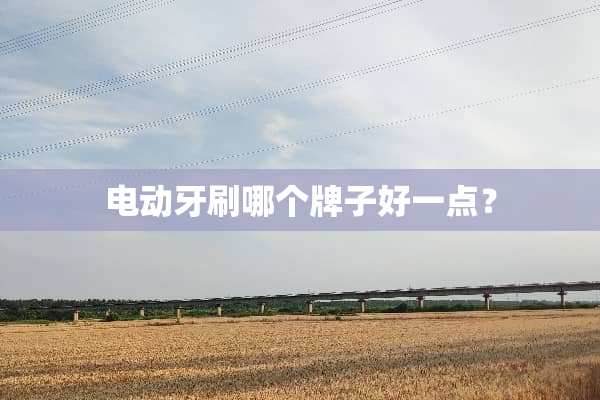电动牙刷哪个牌子好一点？