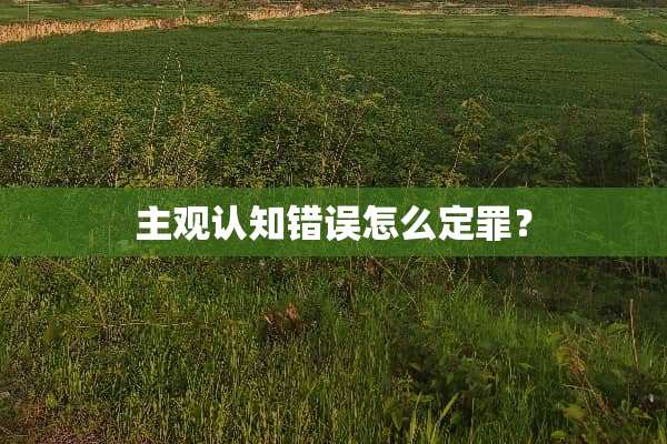 主观认知错误怎么定罪？