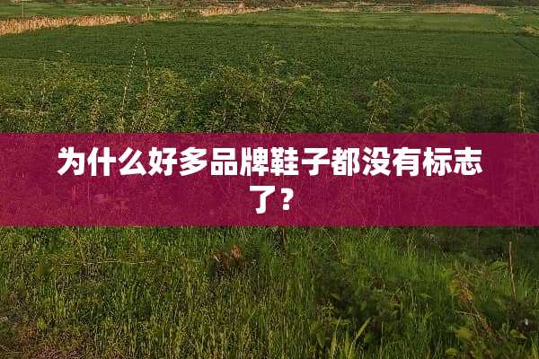 为什么好多品牌鞋子都没有标志了？