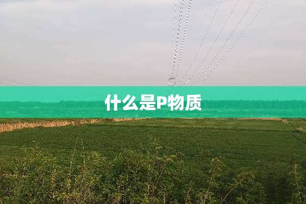 什么是P物质