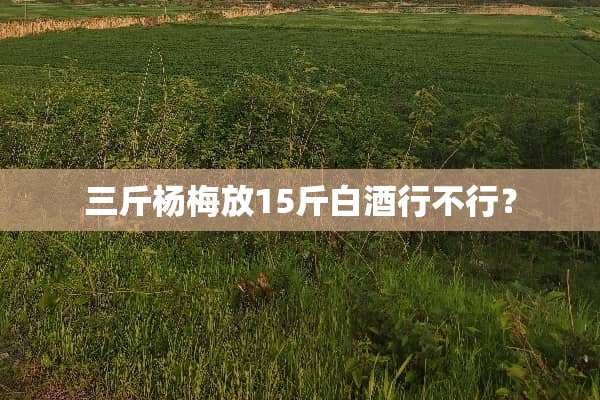 三斤杨梅放15斤白酒行不行？
