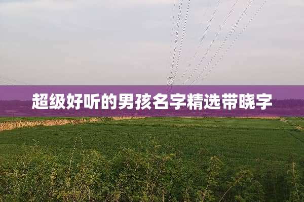 超级好听的男孩名字精选带晓字