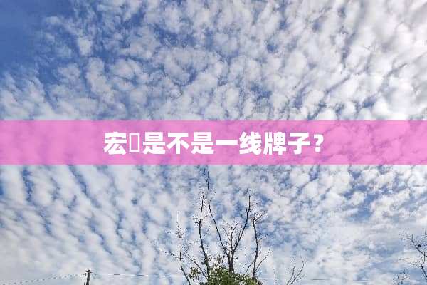宏碁是不是一线牌子？