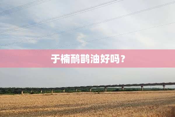于楠鸸鹋油好吗？