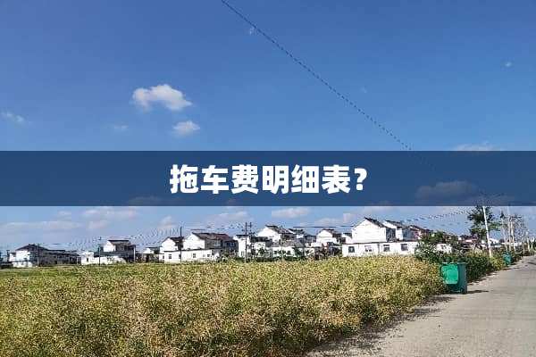 拖车费明细表？
